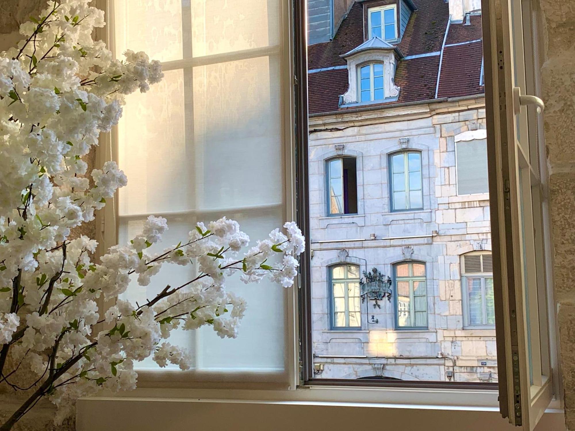Les Fabuleux Appartements Du Coeur De Ville - Place Victor Hugo Besançon Eksteriør billede
